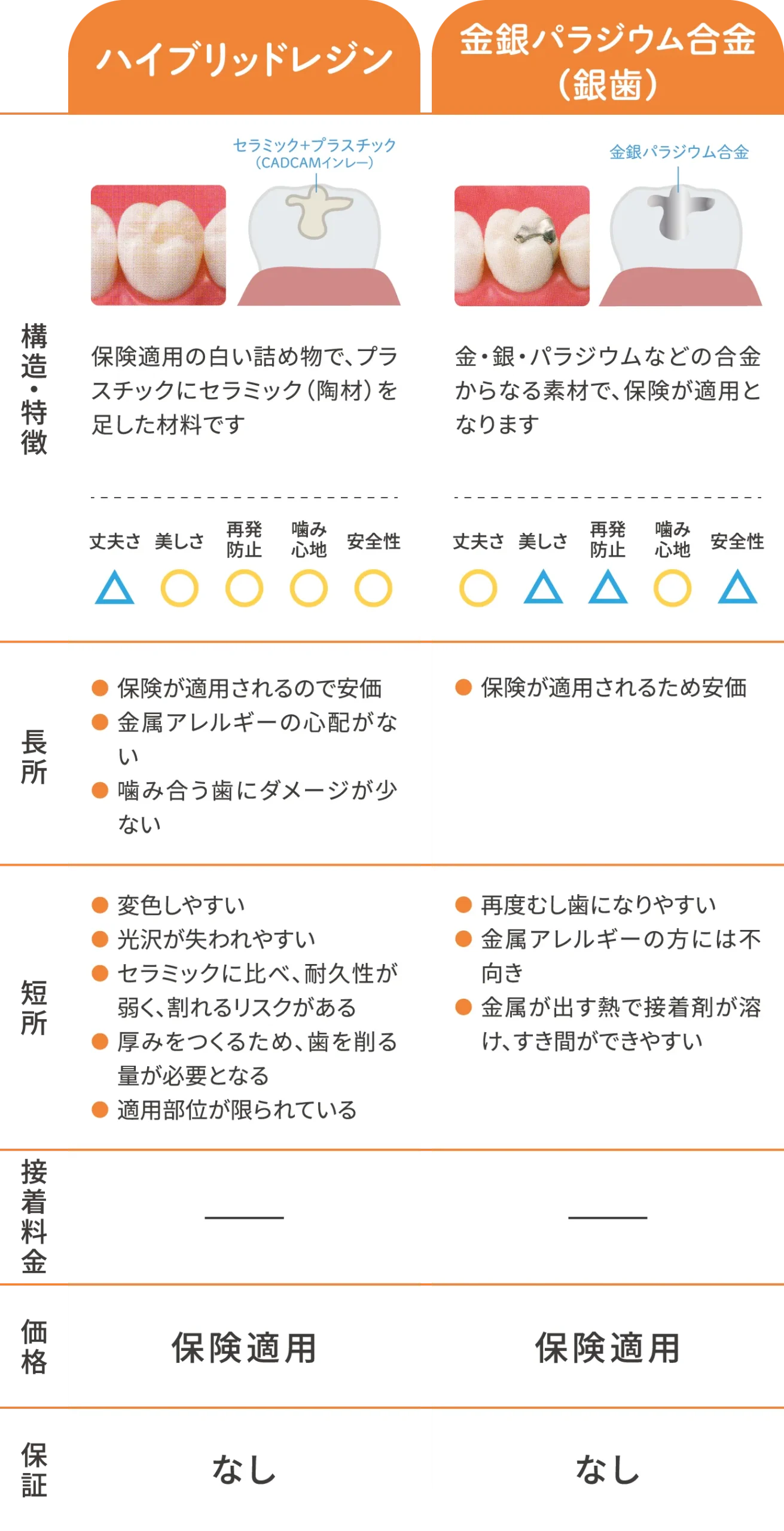 詰め物(インレー)エコノミー素材詳細
